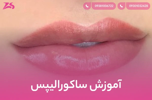 آموزش ساکورالیپس